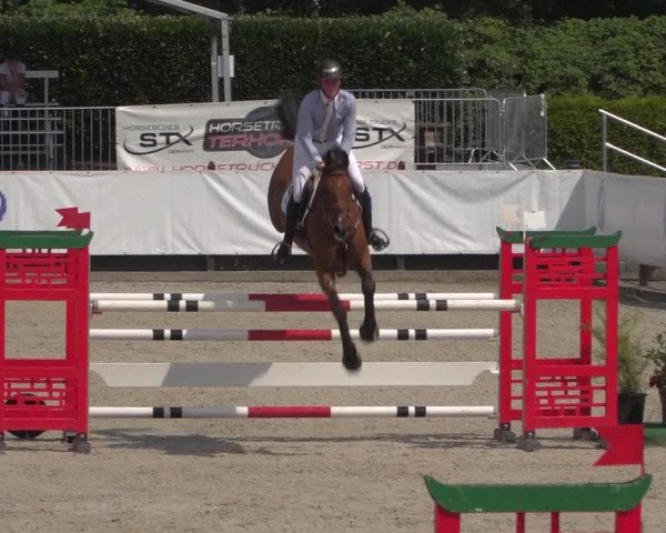 FEI Reitturnier Eschweiler (GER) 2020
