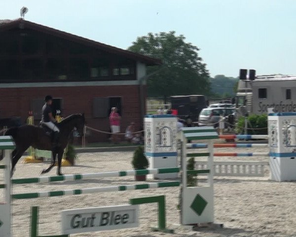 Reitturnier Monheim - Gut Blee 2020