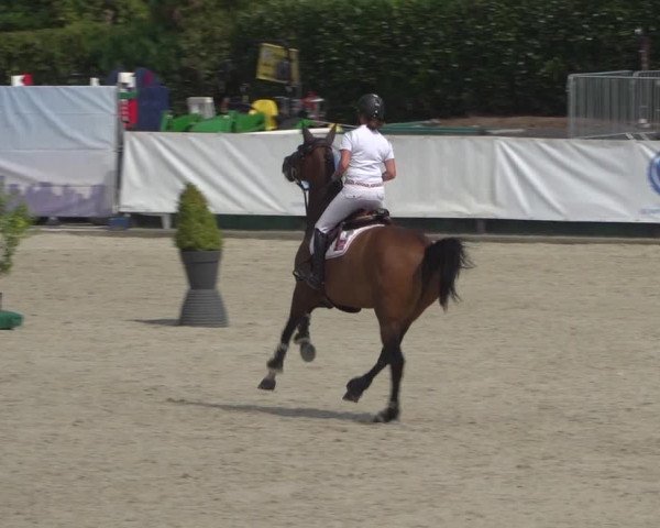 FEI Reitturnier Eschweiler (GER) 2020