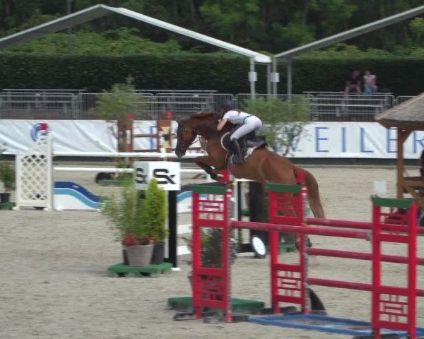 FEI Reitturnier Eschweiler (GER) 2020
