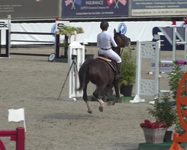 FEI Reitturnier Eschweiler (GER) 2020