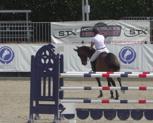 FEI Reitturnier Eschweiler (GER) 2020