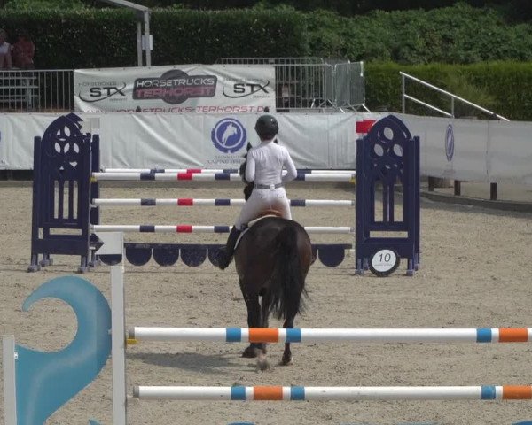 FEI Reitturnier Eschweiler (GER) 2020