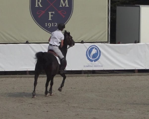 FEI Reitturnier Eschweiler (GER) 2020