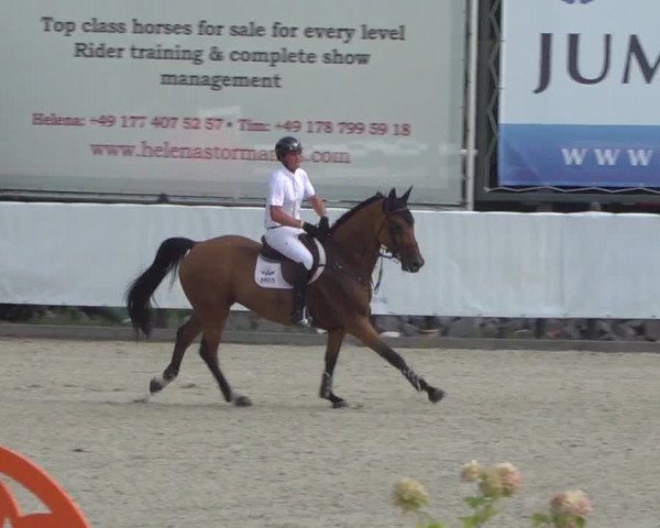 FEI Reitturnier Eschweiler (GER) 2020