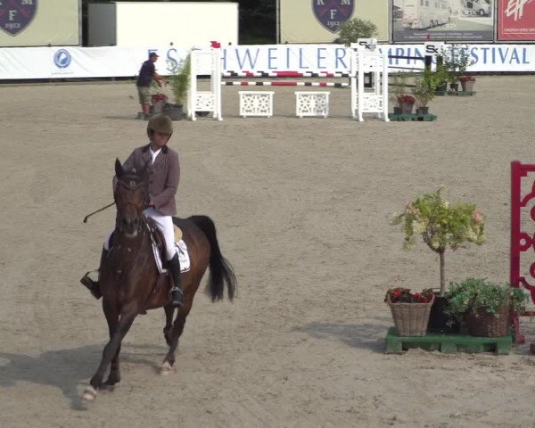 FEI Reitturnier Eschweiler (GER) 2020