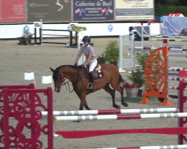 FEI Reitturnier Eschweiler (GER) 2020