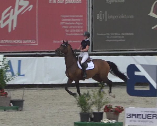 FEI Reitturnier Eschweiler (GER) 2020