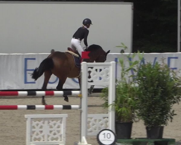 FEI Reitturnier Eschweiler (GER) 2020