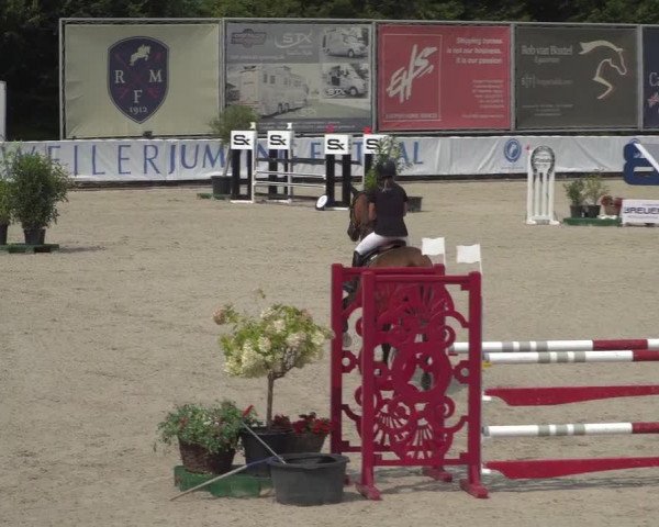 FEI Reitturnier Eschweiler (GER) 2020