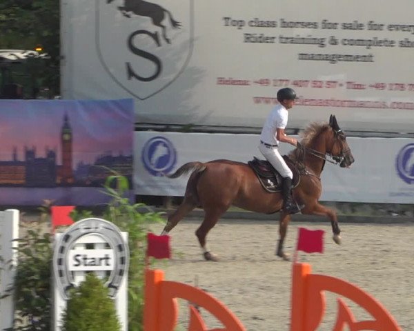 FEI Reitturnier Eschweiler (GER) 2020