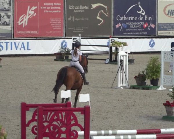 FEI Reitturnier Eschweiler (GER) 2020