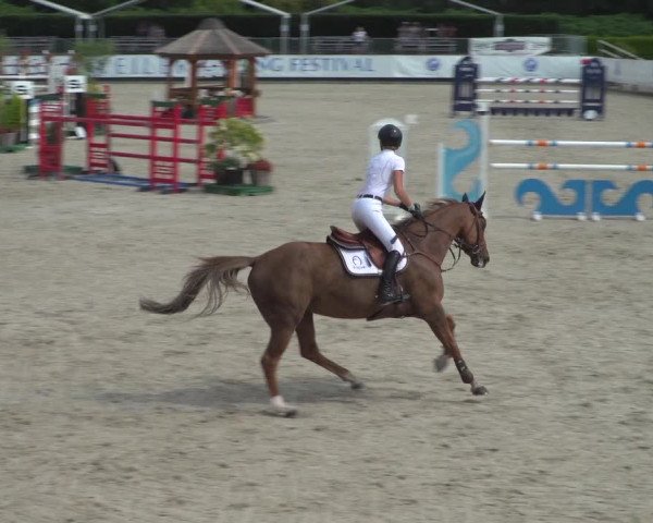 FEI Reitturnier Eschweiler (GER) 2020