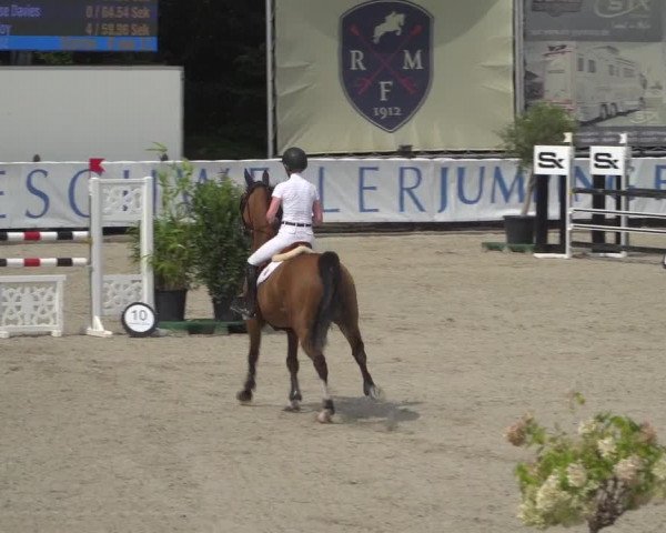 FEI Reitturnier Eschweiler (GER) 2020