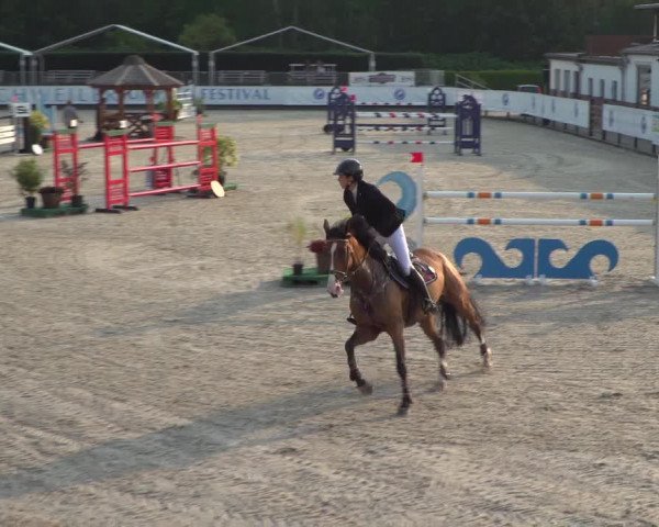 FEI Reitturnier Eschweiler (GER) 2020