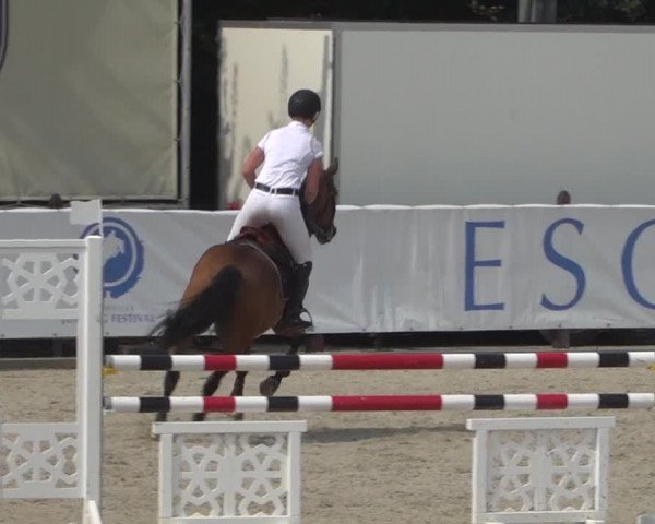 FEI Reitturnier Eschweiler (GER) 2020