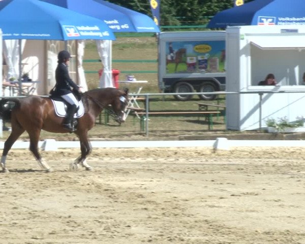 Reitturnier Kirchhoven-Vinn 2020