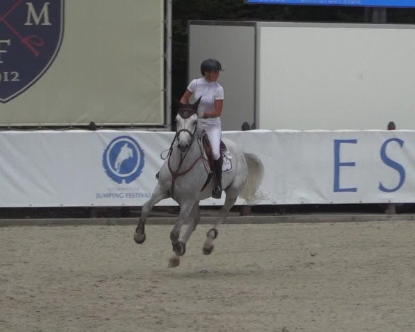 FEI Reitturnier Eschweiler (GER) 2020