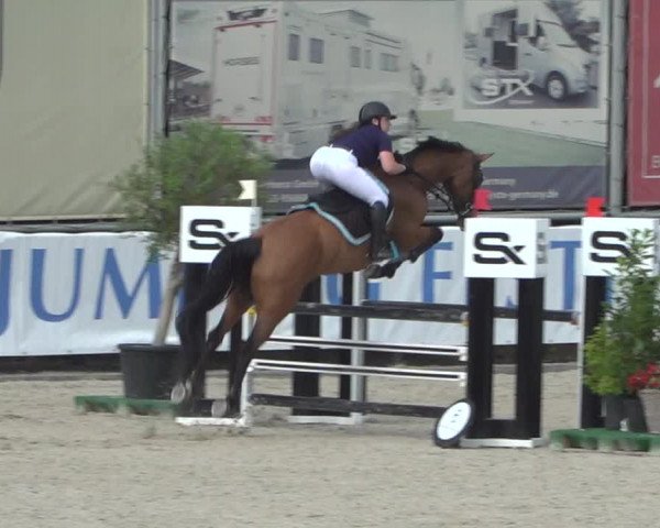 FEI Reitturnier Eschweiler (GER) 2020