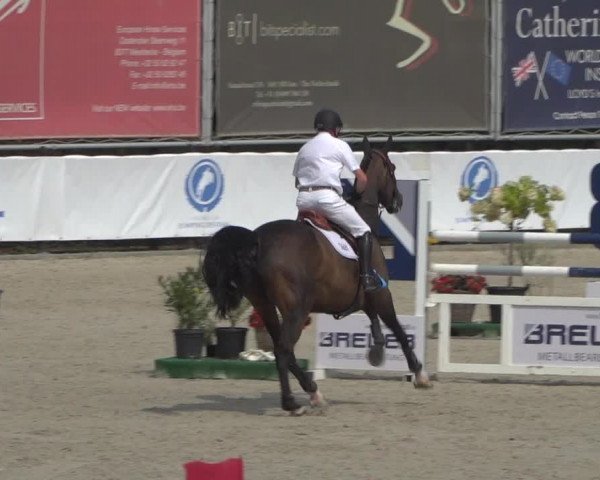 FEI Reitturnier Eschweiler (GER) 2020