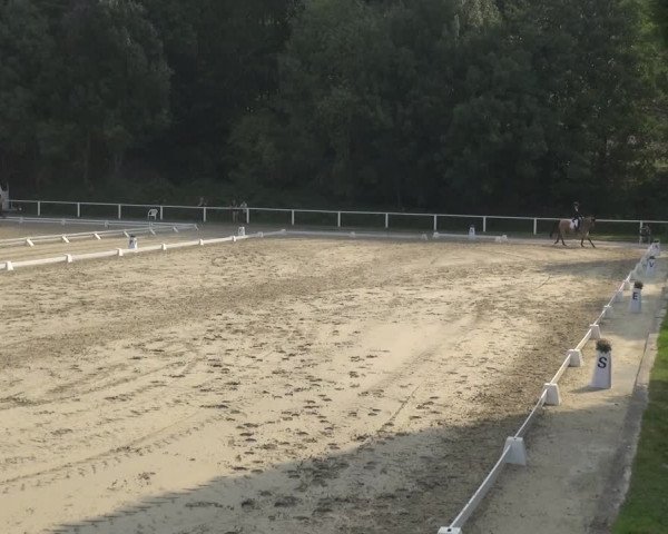 Reitturnier Bergisch Gladbach - Hebborner Hof 2020