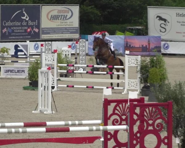 FEI Reitturnier Eschweiler (GER) 2020