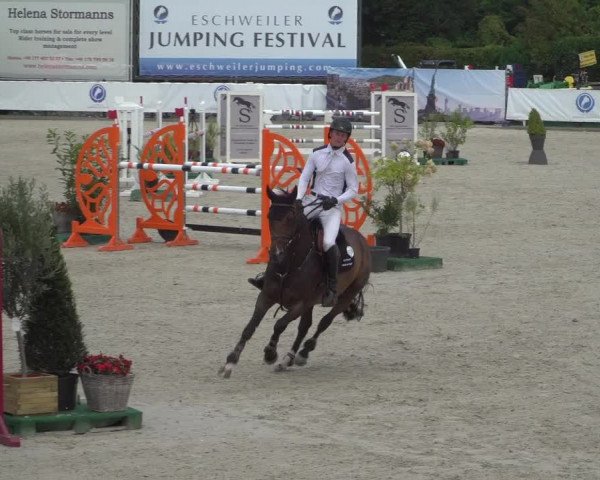 FEI Reitturnier Eschweiler (GER) 2020