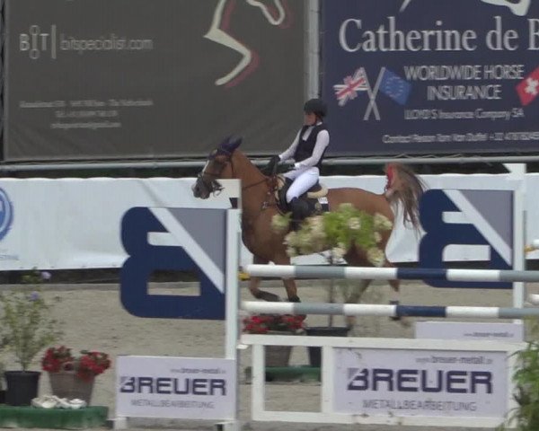FEI Reitturnier Eschweiler (GER) 2020
