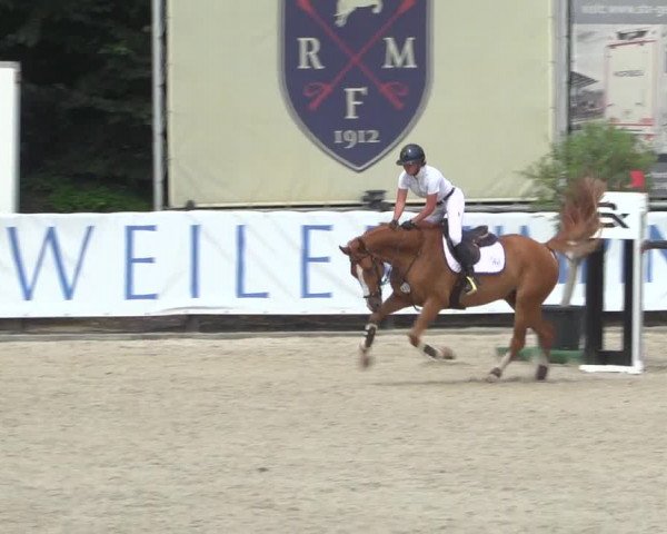 FEI Reitturnier Eschweiler (GER) 2020