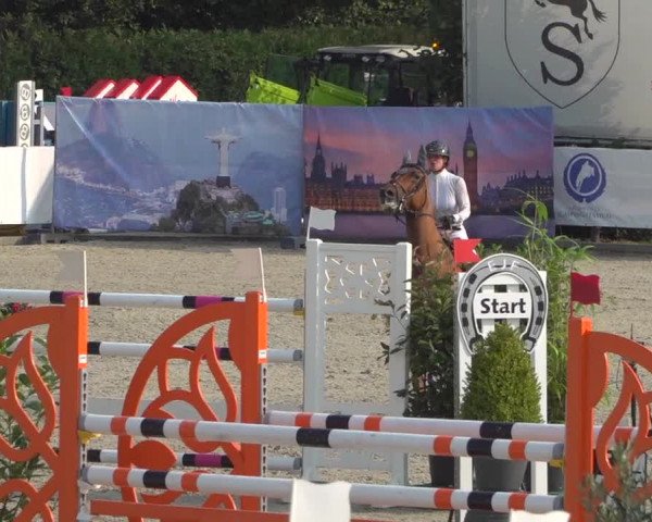 FEI Reitturnier Eschweiler (GER) 2020