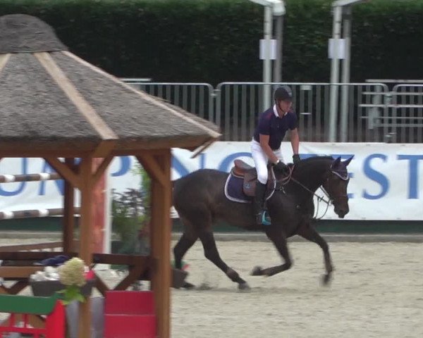 FEI Reitturnier Eschweiler (GER) 2020
