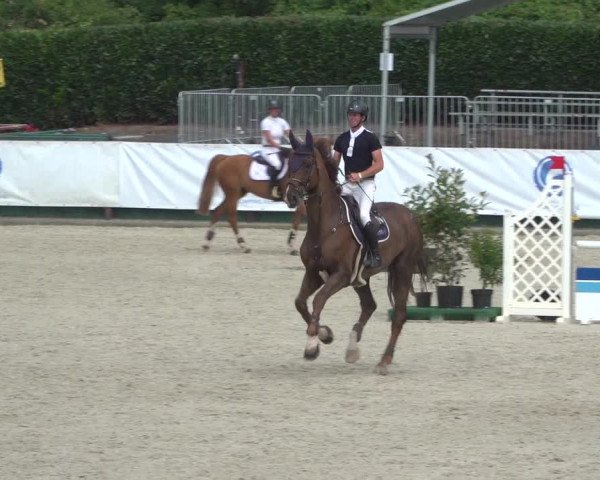 FEI Reitturnier Eschweiler (GER) 2020