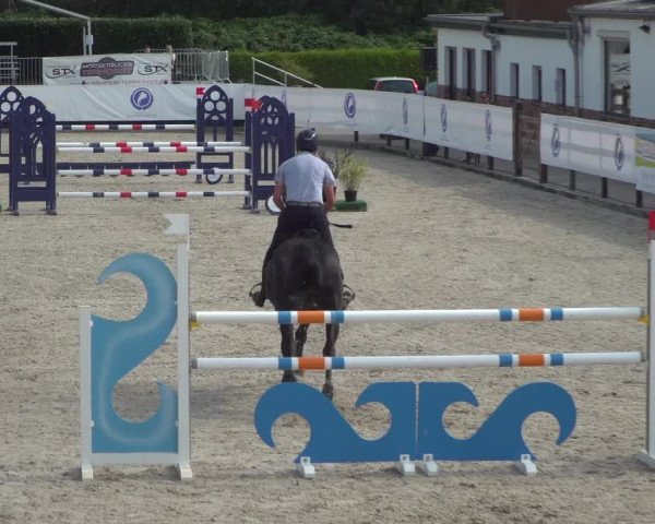 FEI Reitturnier Eschweiler (GER) 2020