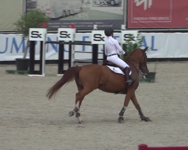 FEI Reitturnier Eschweiler (GER) 2020