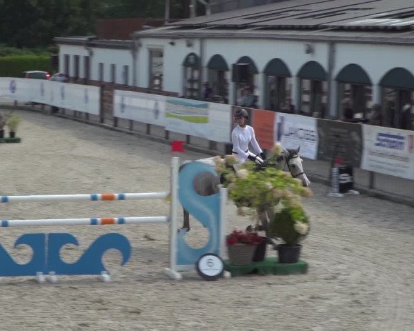 FEI Reitturnier Eschweiler (GER) 2020