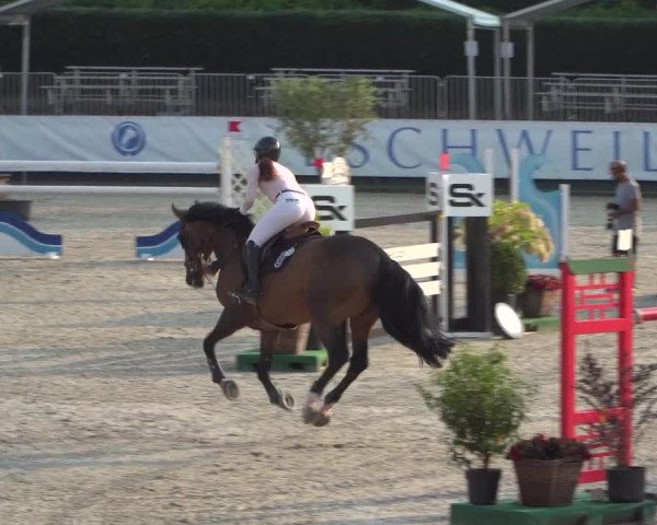 FEI Reitturnier Eschweiler (GER) 2020