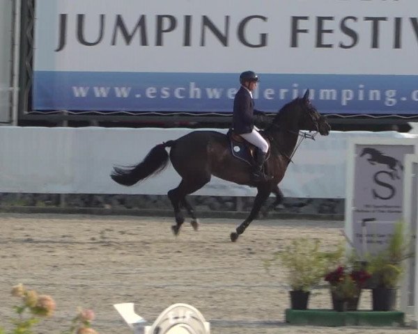 FEI Reitturnier Eschweiler (GER) 2020