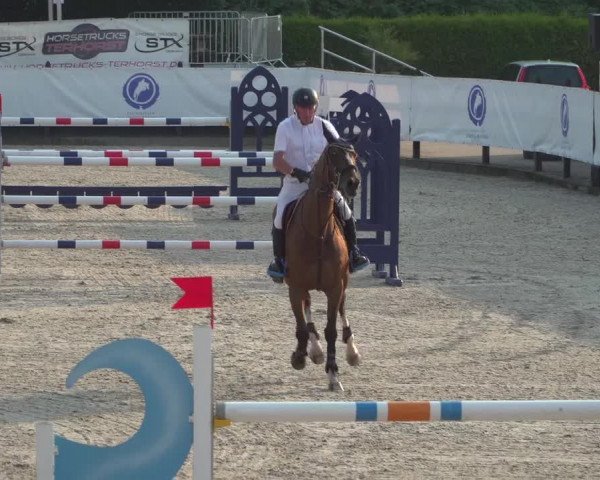 FEI Reitturnier Eschweiler (GER) 2020