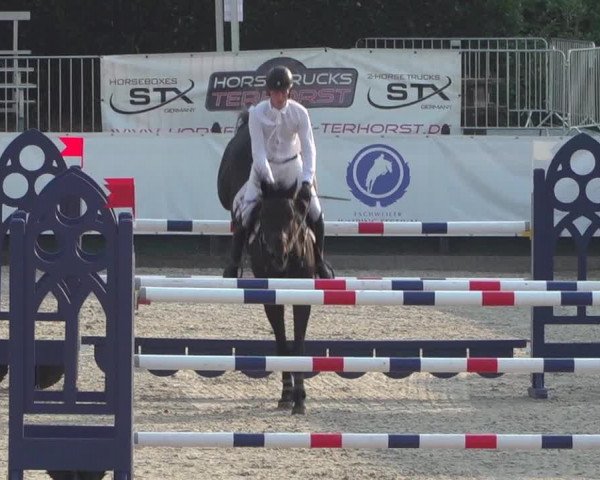 FEI Reitturnier Eschweiler (GER) 2020
