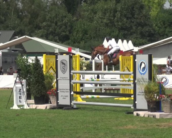 FEI Reitturnier Eschweiler (GER) 2020