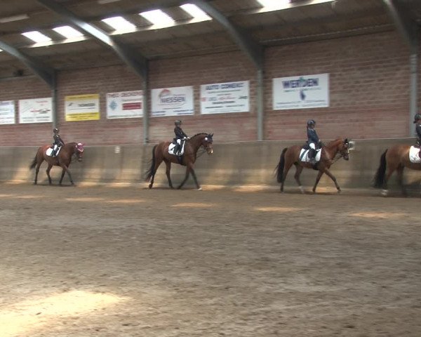 Reitturnier Kirchhoven-Vinn 2020