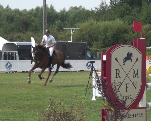 FEI Reitturnier Eschweiler (GER) 2020