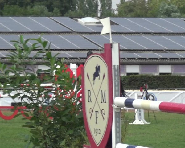 FEI Reitturnier Eschweiler (GER) 2020