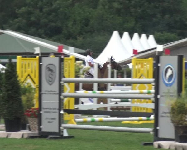 FEI Reitturnier Eschweiler (GER) 2020