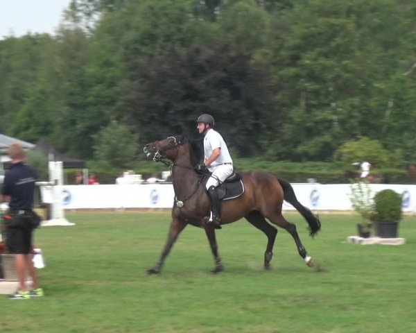 FEI Reitturnier Eschweiler (GER) 2020