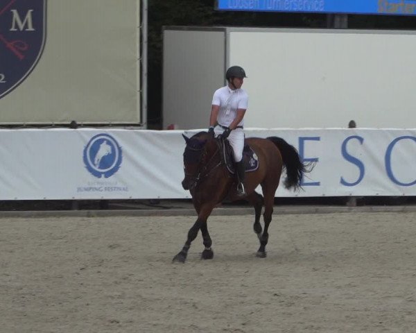 FEI Reitturnier Eschweiler (GER) 2020