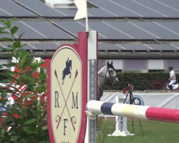FEI Reitturnier Eschweiler (GER) 2020