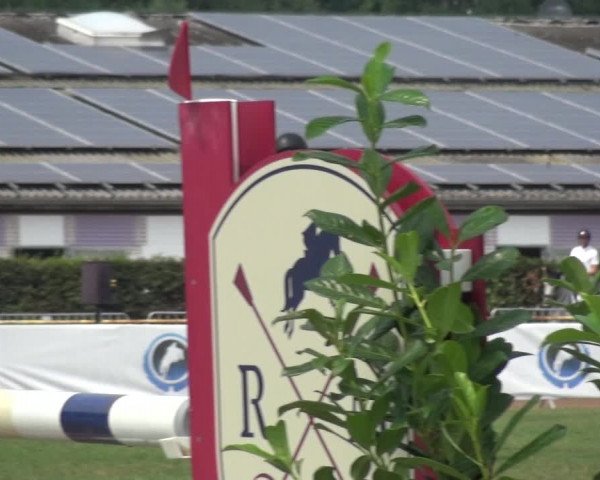FEI Reitturnier Eschweiler (GER) 2020