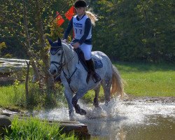 jumper Violetta 73 (Hanoverian, 2009, from Vesuv 35)