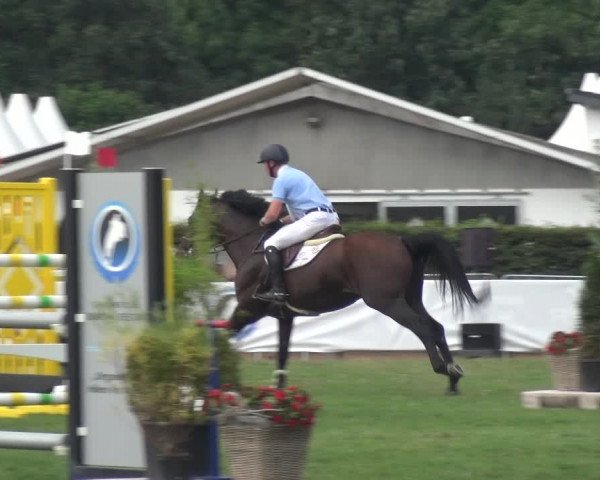 FEI Reitturnier Eschweiler (GER) 2020